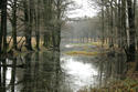 G&auml;nsewinkel
