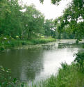 G&auml;nsewinkel