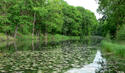 G&auml;nsewinkel