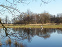 H&ouml;ckerschw&auml;ne an Quandts Teich