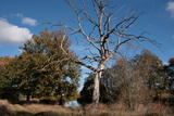 An der Alten Elster