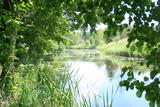 Altarm der Schwarzen Elster