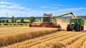 Landwirtschaft in Elbe-Elster: Leistungsf&auml;hig, vielf&auml;ltig und vor gro&szlig;en Herausforderungen