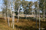 D&ouml;llinger See