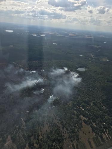 Foto PI FF Lieberoser Heide 1