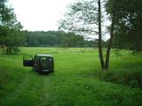 Jeep im Gr&uuml;nen