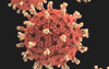 coronavirus2020