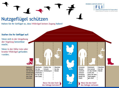 Nutzv&ouml;gel sch&uuml;tzen